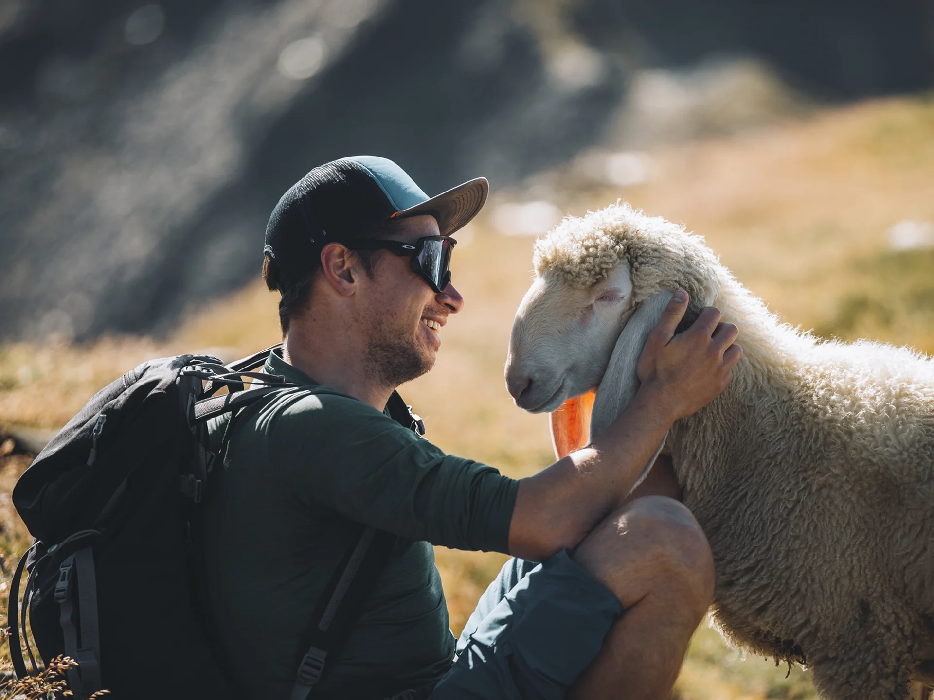 Weisskugel: your accommodation in Tyrol Mann mit Rucksack streichelt ein Schaf auf einer Bergwiese