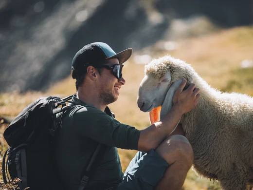 Mann mit Rucksack streichelt ein Schaf auf einer Bergwiese