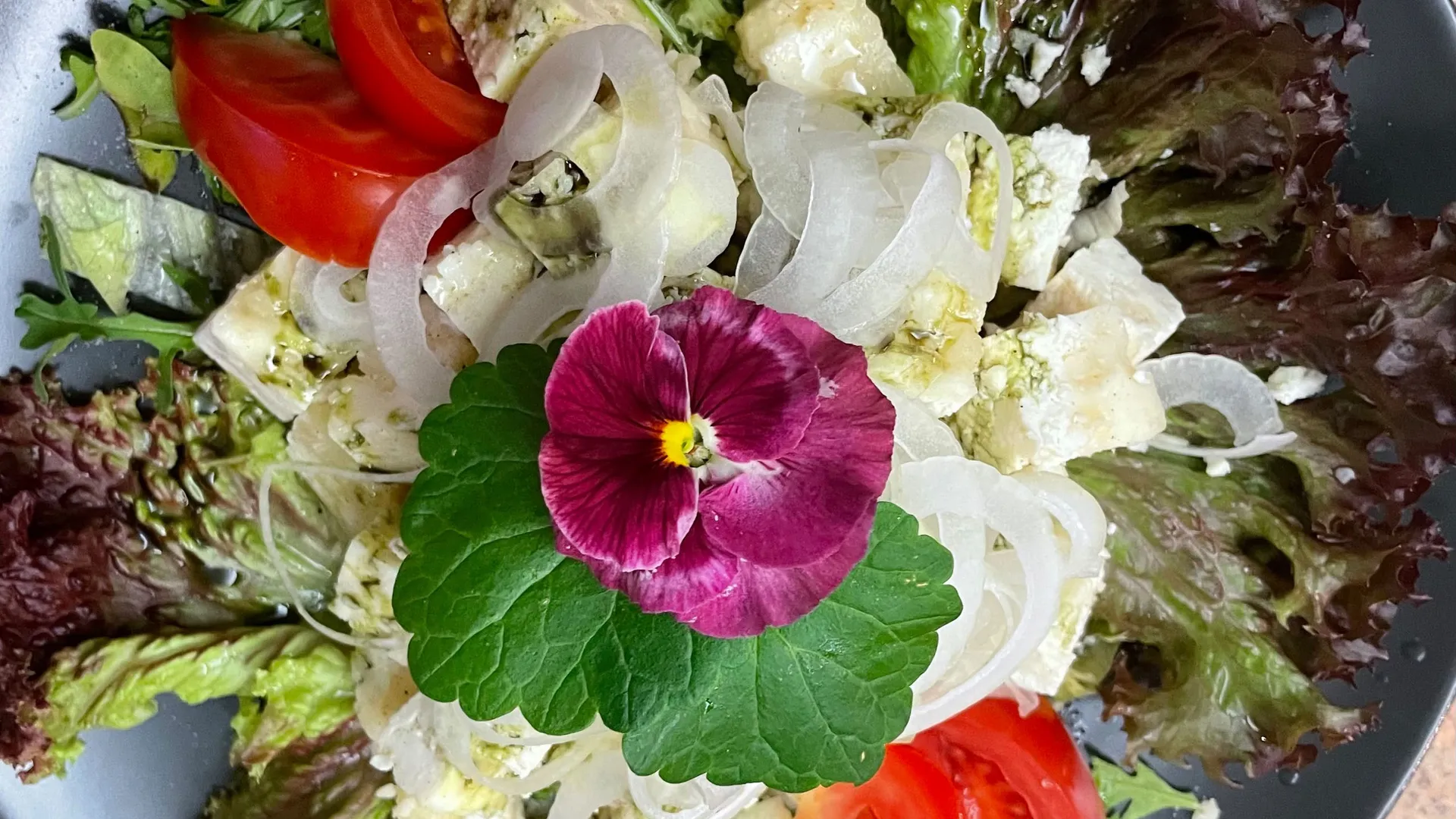 Gasthof Weisskugel: Bilder, die Sehnsucht wecken Gemischter Salat mit Tomaten, Zwiebeln, Käse und einer violetten Blüte