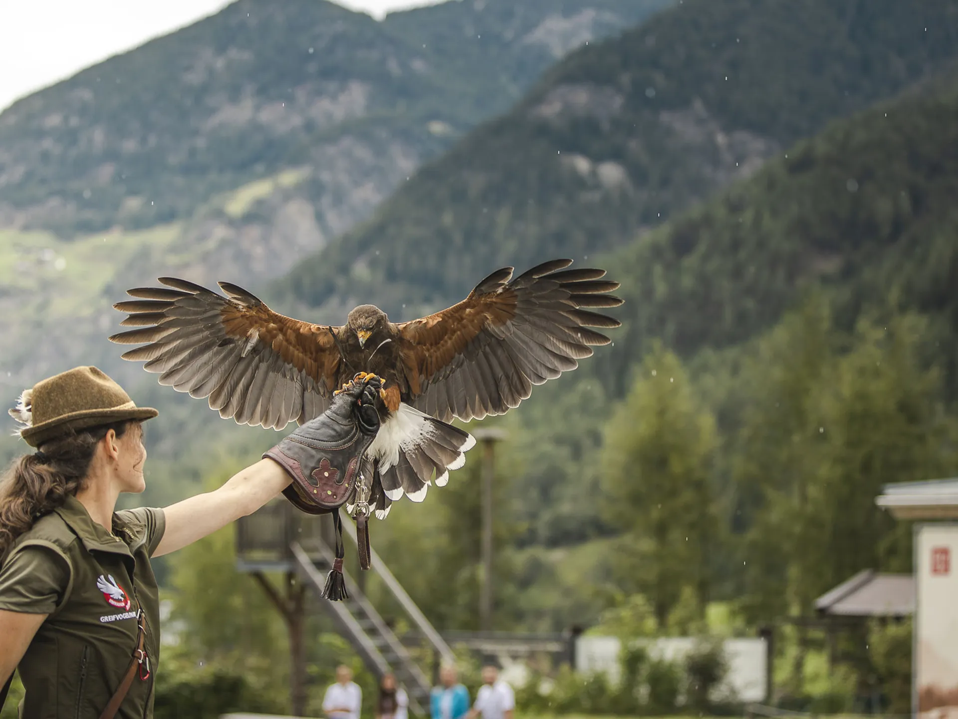 Woman holds a bird of prey on her arm against a mountain landscape